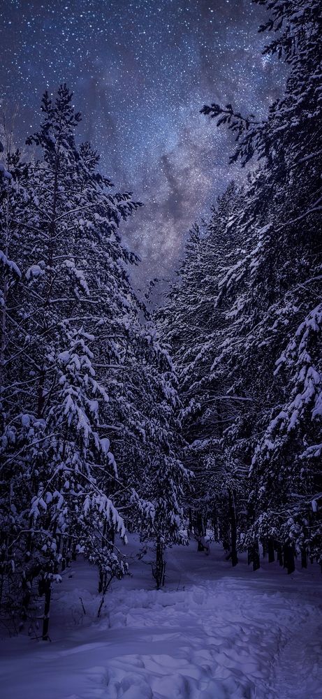 Photograph by Konstantin Martynov