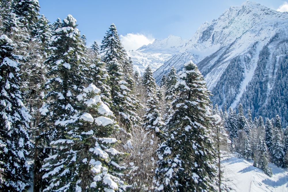 Photograph by Галина Григорьева