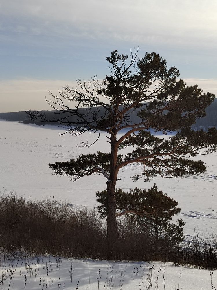 Photograph by Тася