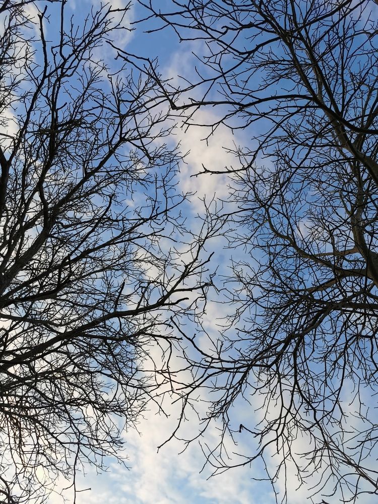 Photograph by Nikolett Mengyi