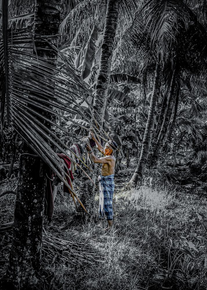 Photograph by pranawa Capture