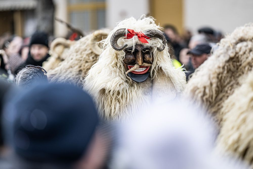 Фотография автора Берлиоз Бегемот