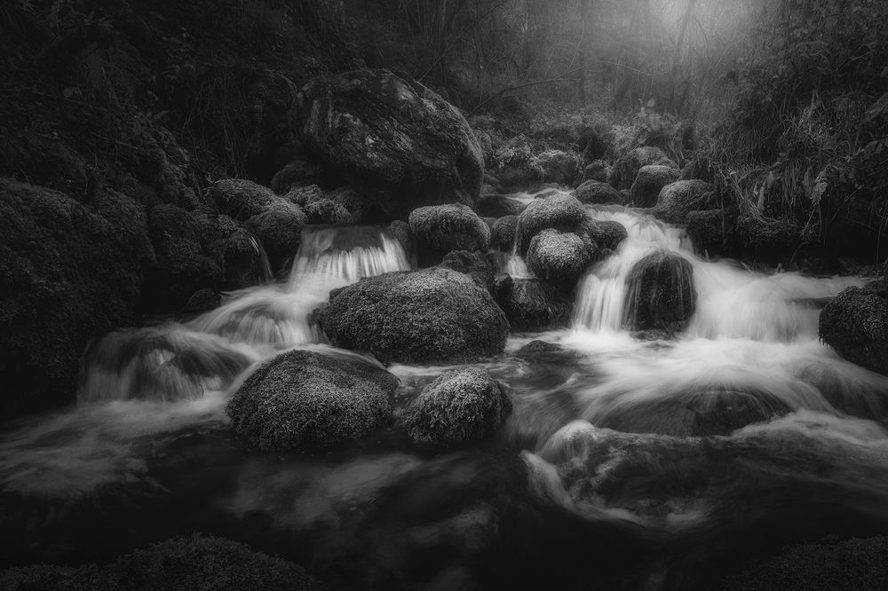 Photograph by de Franzoni Thomas