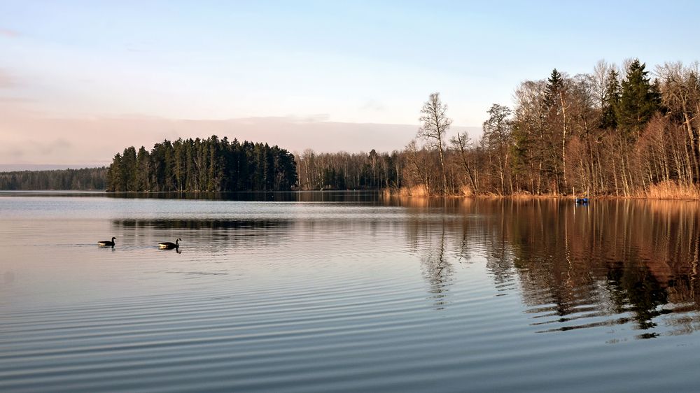 Ранняя весна