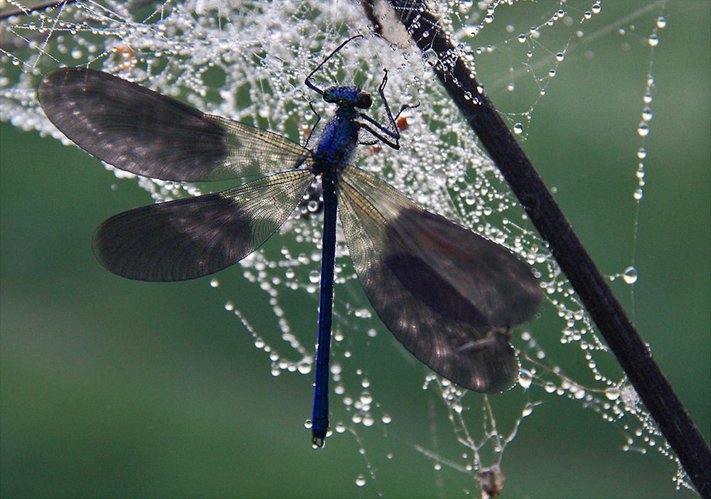Photograph by Николай Кузьмин