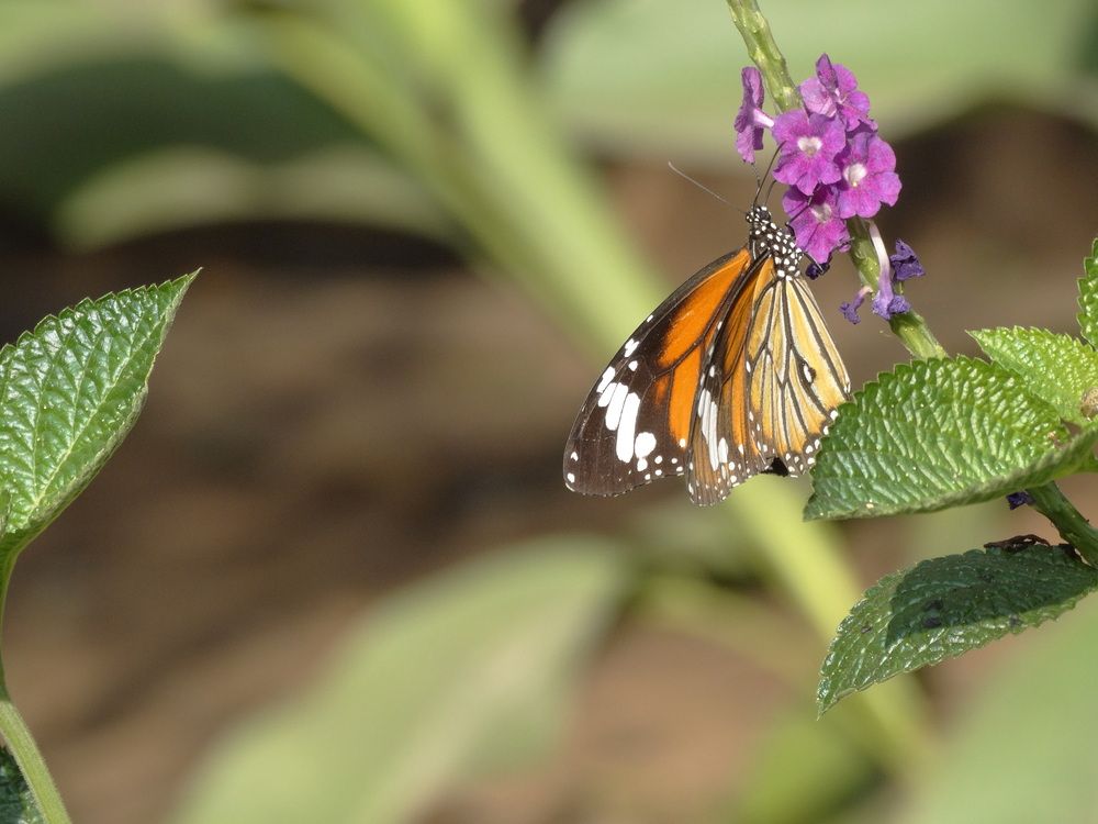 Photograph by Виктор Бута