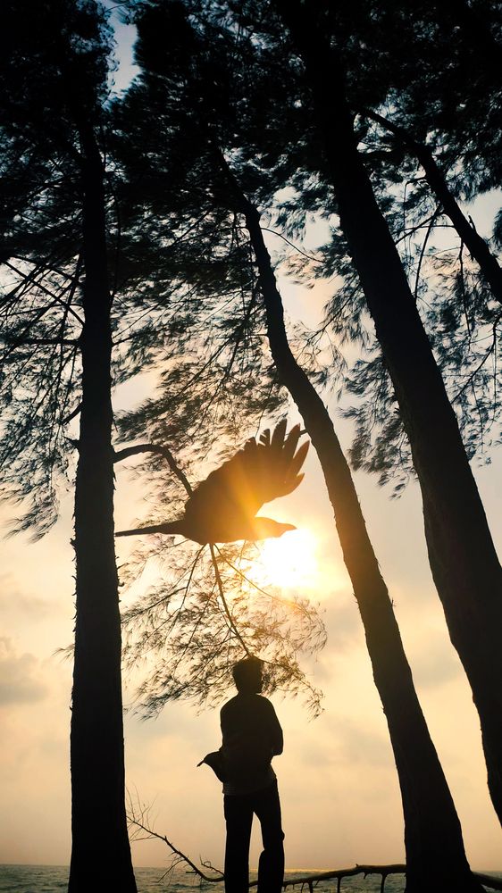Photograph by sreejay tj