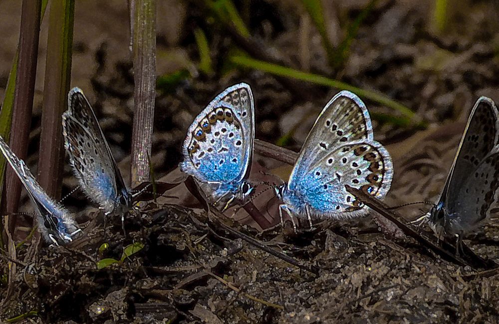 Photograph by Игорь Смирнов