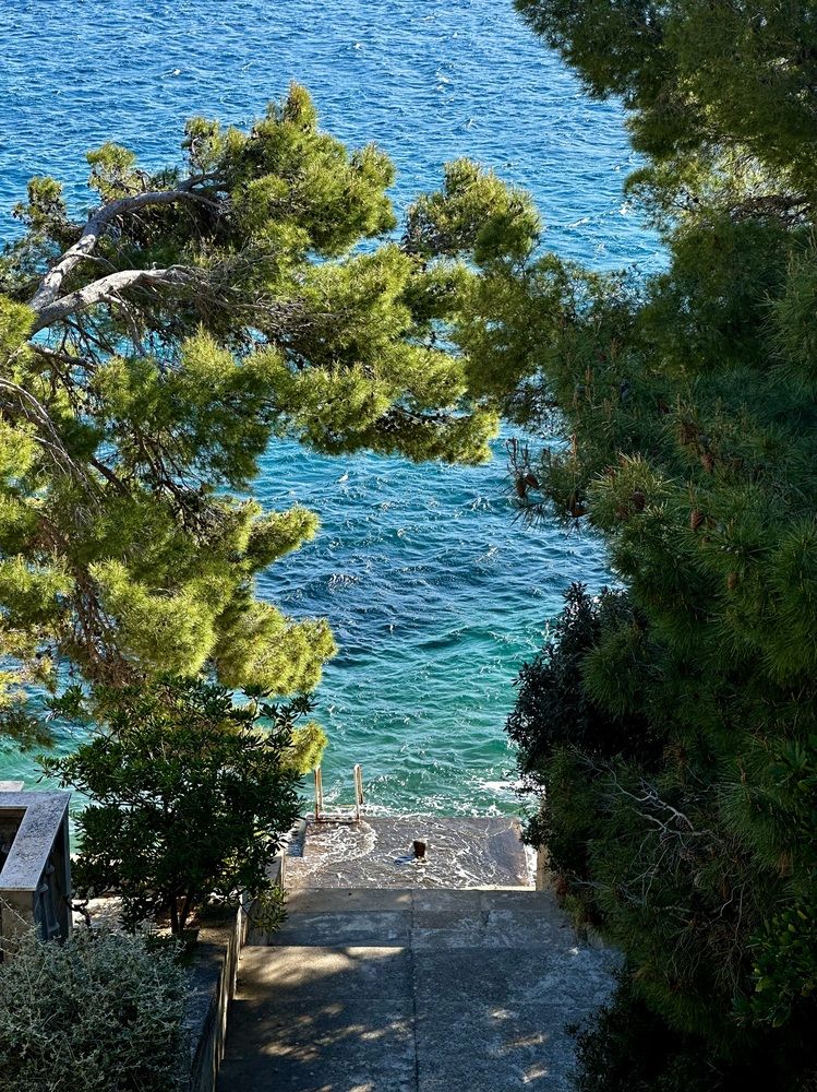Photograph by Aleksandra Josipović