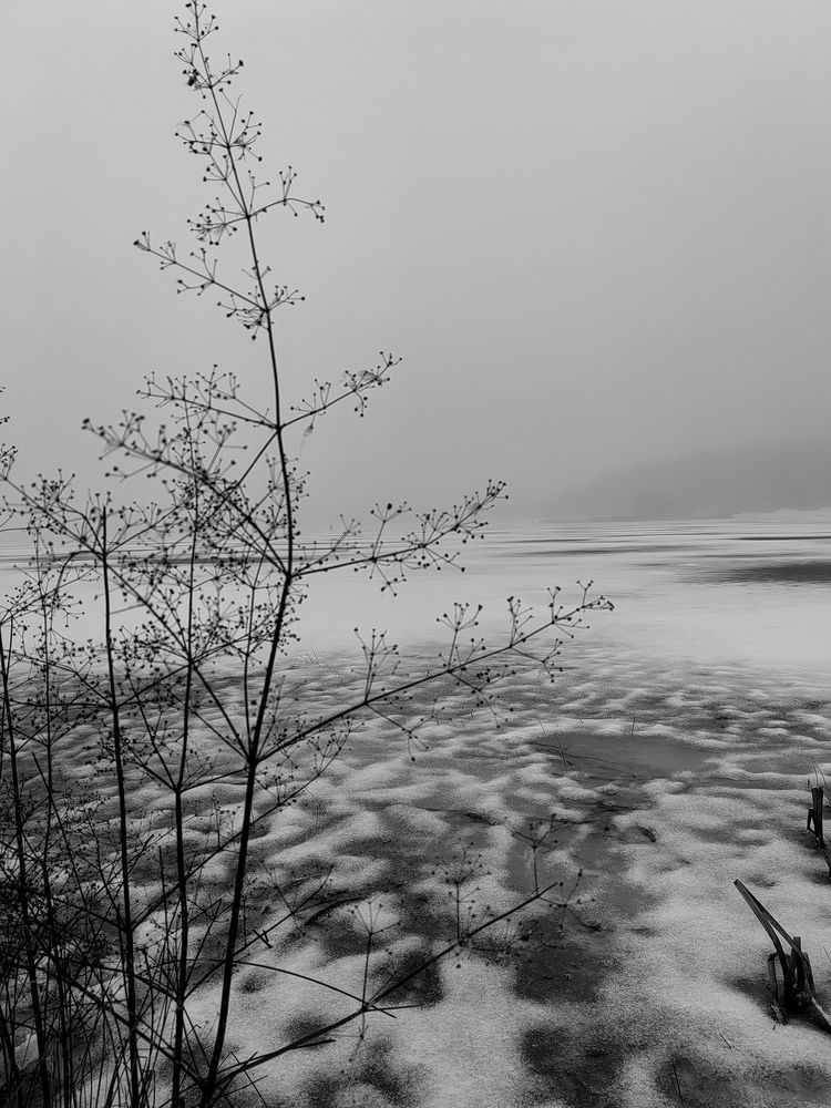 Photo #12058715