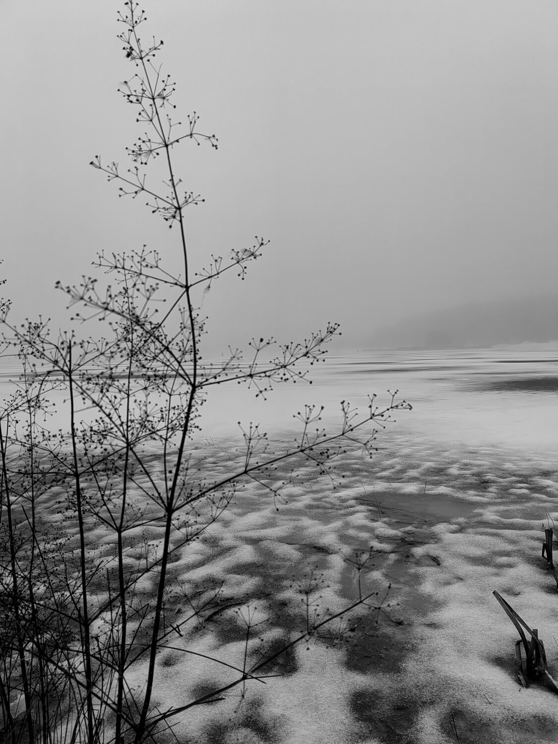 Photo #12058715