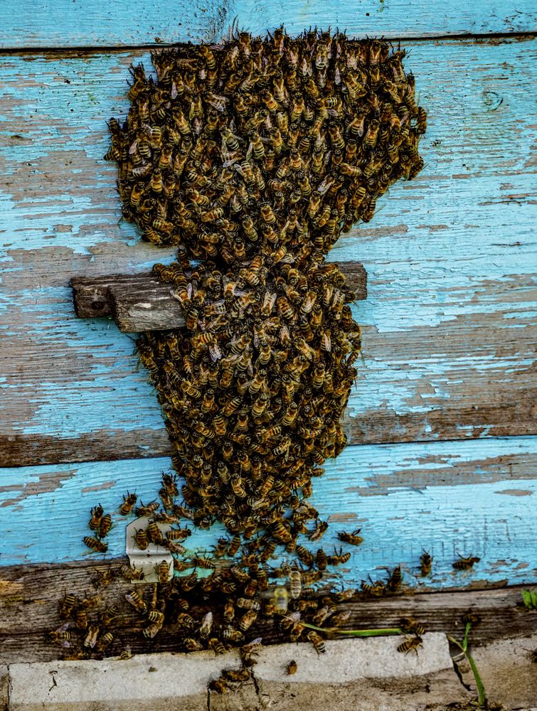 Photograph by Виктория Лаур