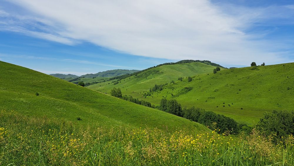 Photograph by Михаил Карнишин