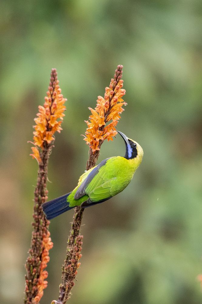 Photograph by Biswajit Dutta