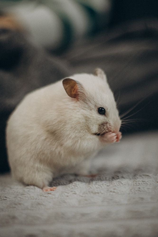 Photograph by Елена Копылова