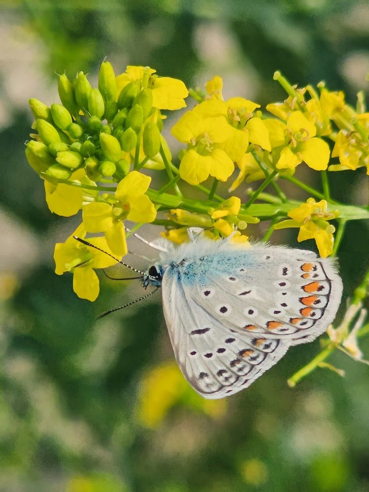 Photograph by Владислав Моисеев