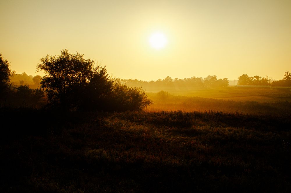 Photograph by Андрей Панасенко
