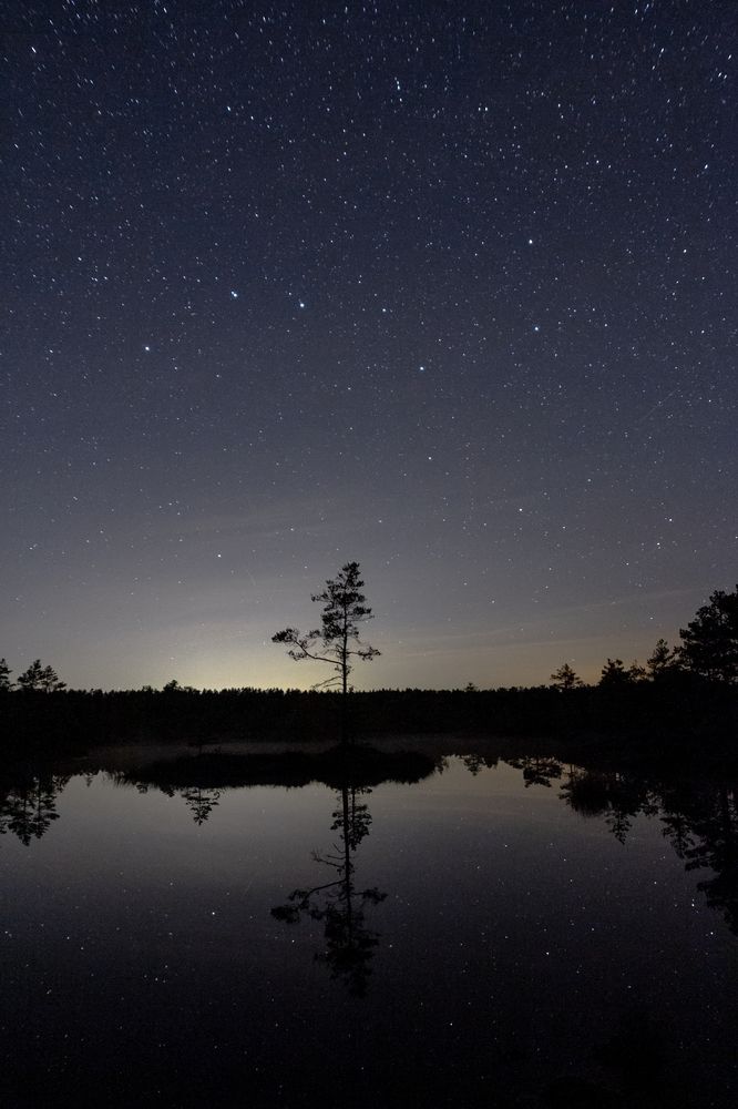 Photograph by Nikolay Surovtsev