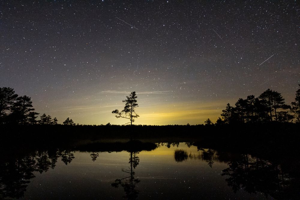 Photograph by Nikolay Surovtsev