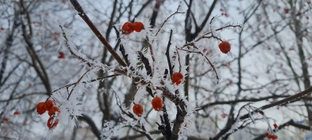 Photograph by Gaell