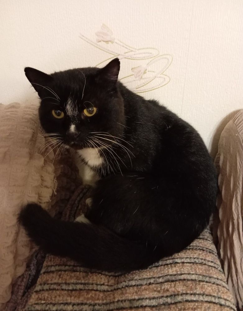 Photograph by Елена Коробченко