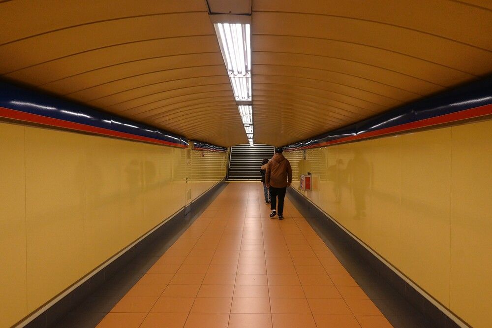 Photograph by LUIS GERARDO GONZÁLEZ  BRUZUAL