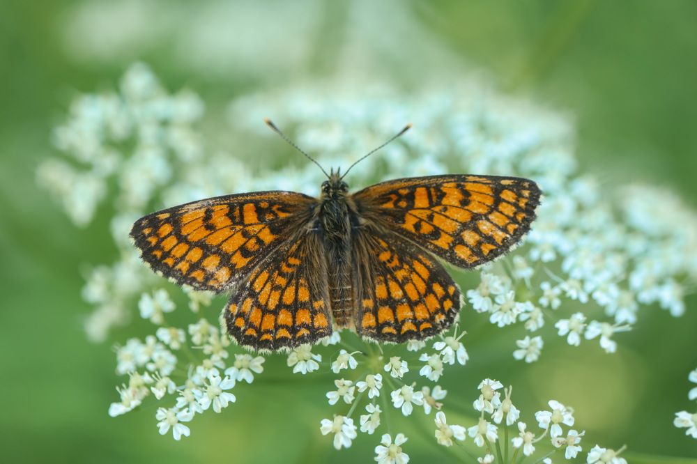 Photograph by Валентина Куренкова