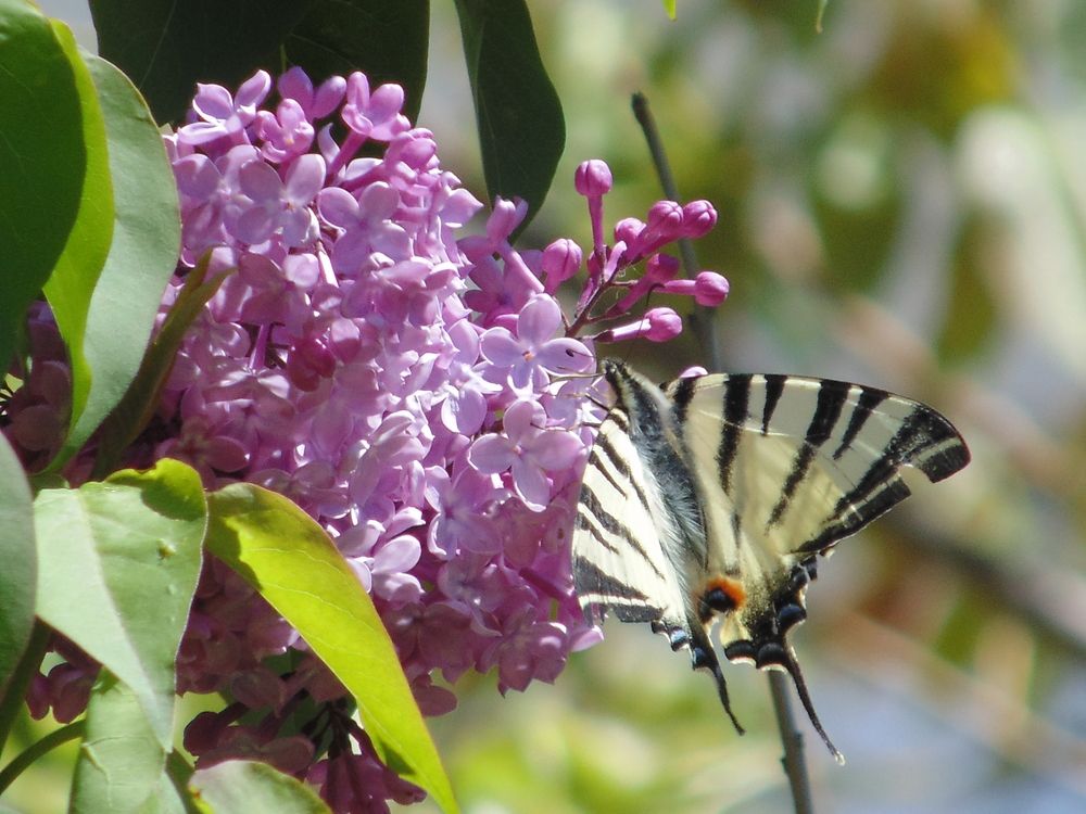 Photograph by Татьяна Стаскевич