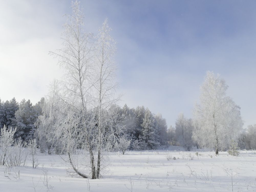 Photograph by Александр Кизим