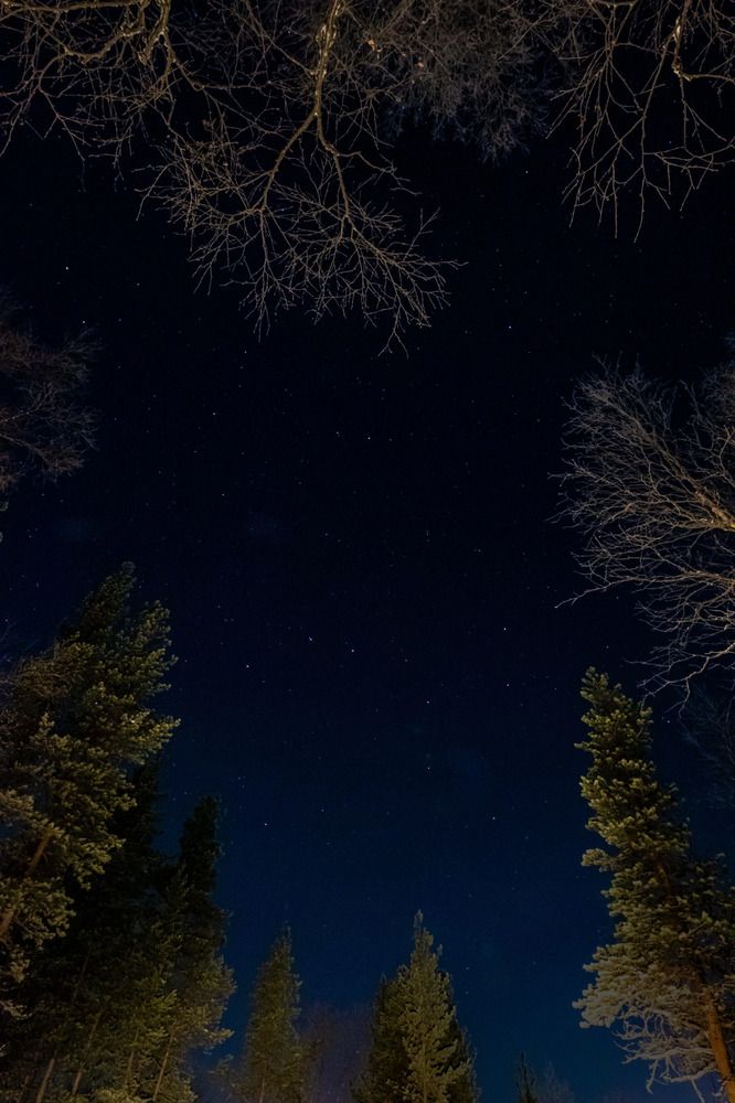 Photograph by Ирина Левакова