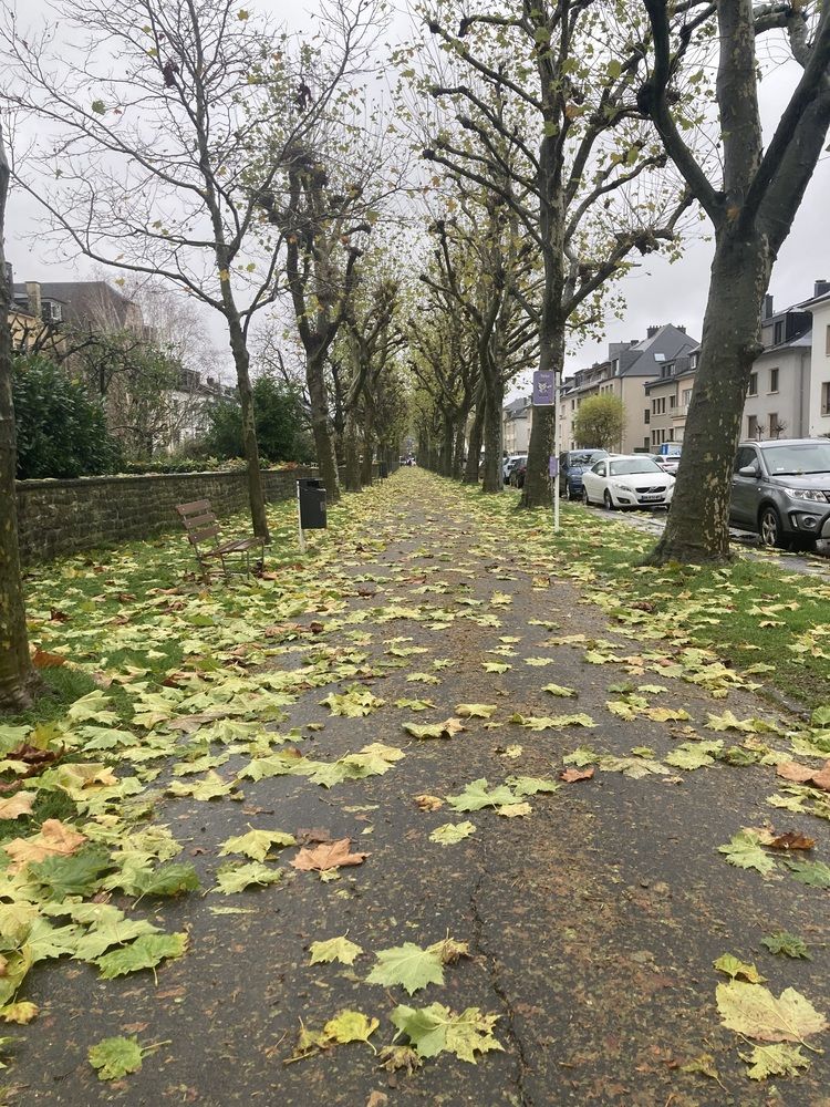 Photograph by Olena Rebrova