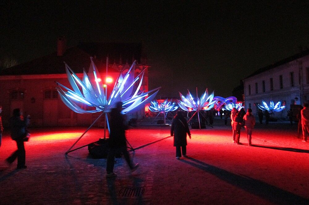 Photograph by Larisa Pirozhnikova