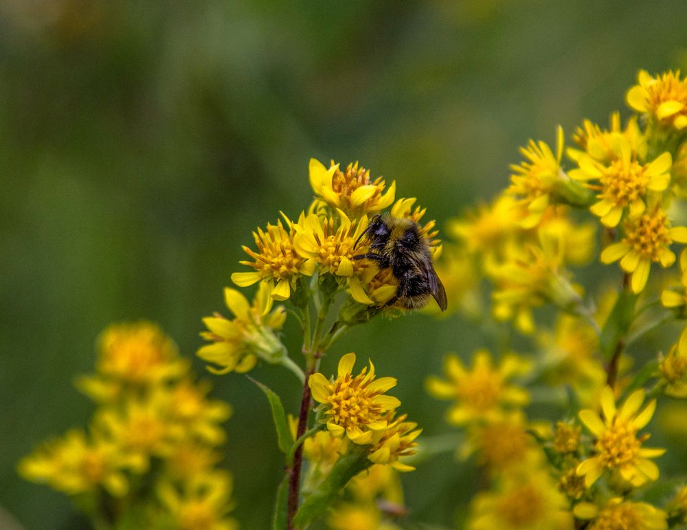 Photograph by Alina Bystrova