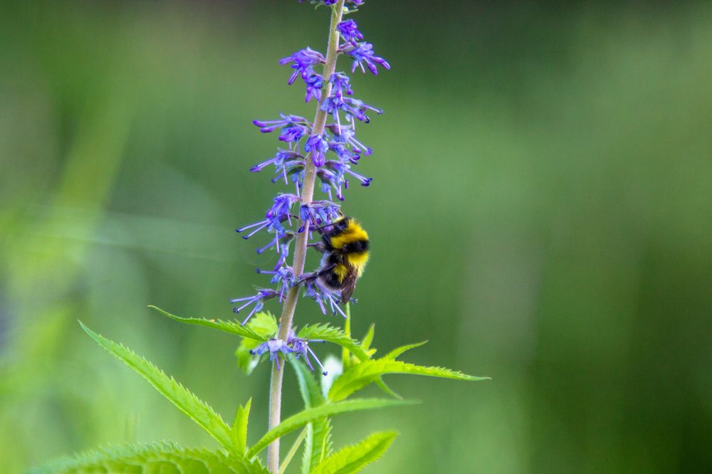 Photograph by Alina Bystrova