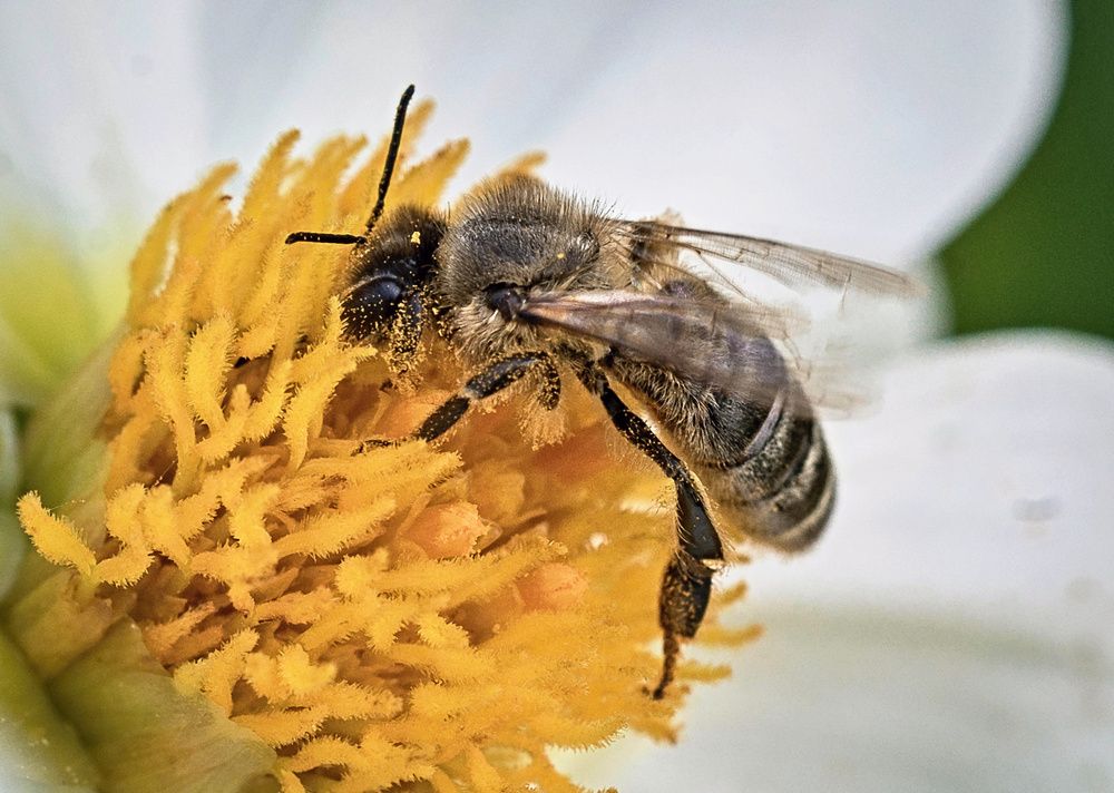 Photograph by Сергей Басов