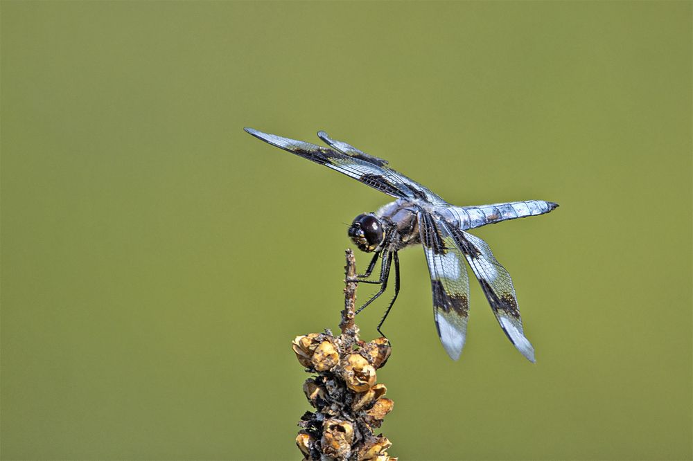 Photograph by Гришанов Пётр