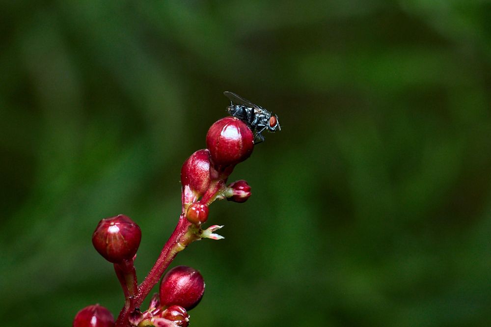 Photograph by Le Duy Ta