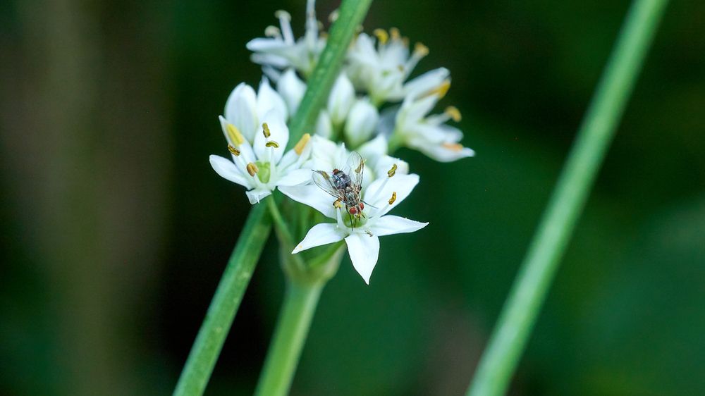 Photograph by Le Duy Ta