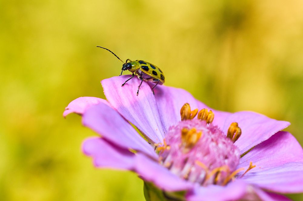 Photograph by Le Duy Ta