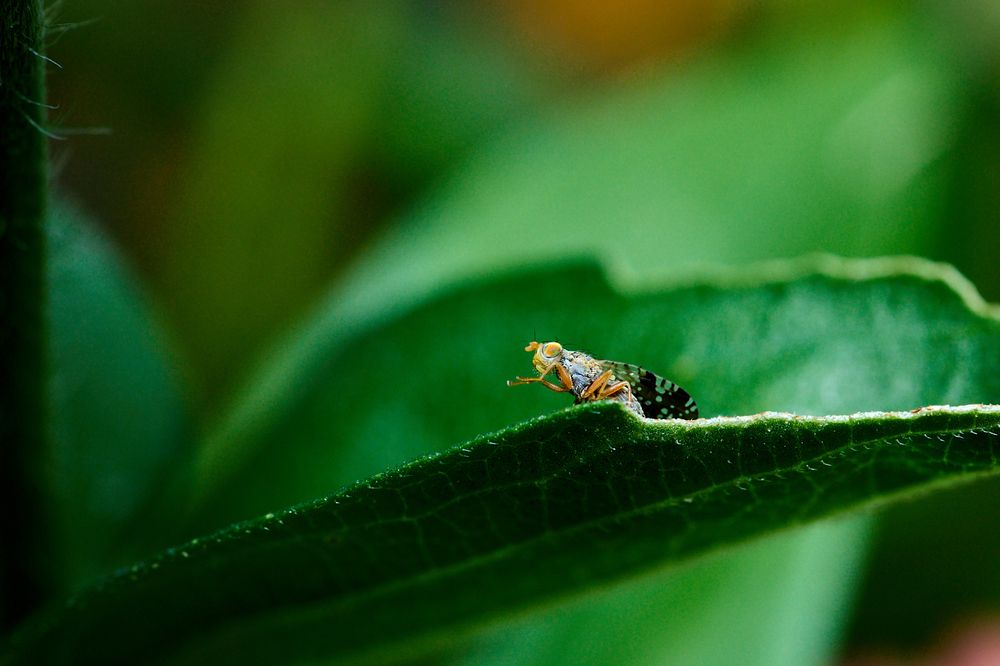 Photograph by Le Duy Ta