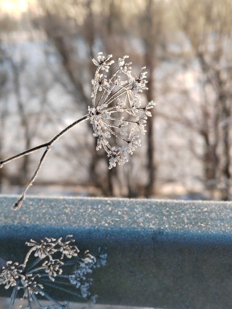 Photograph by Анастасия Проскурнова