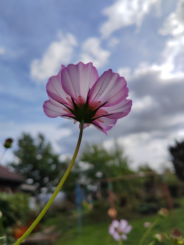 Photograph by Анастасия Проскурнова