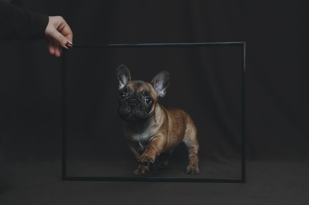 Photograph by Алина Зотова