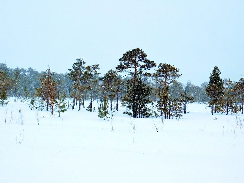 Photograph by Игорь Владимирович Дербенев