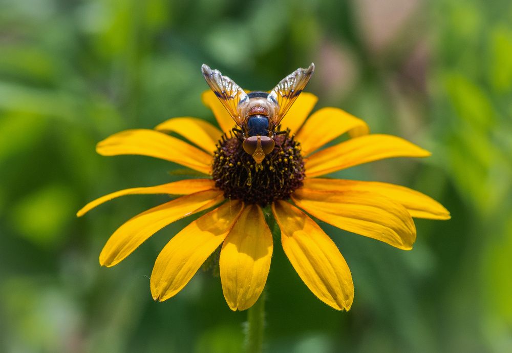 Photograph by Сергей Басов