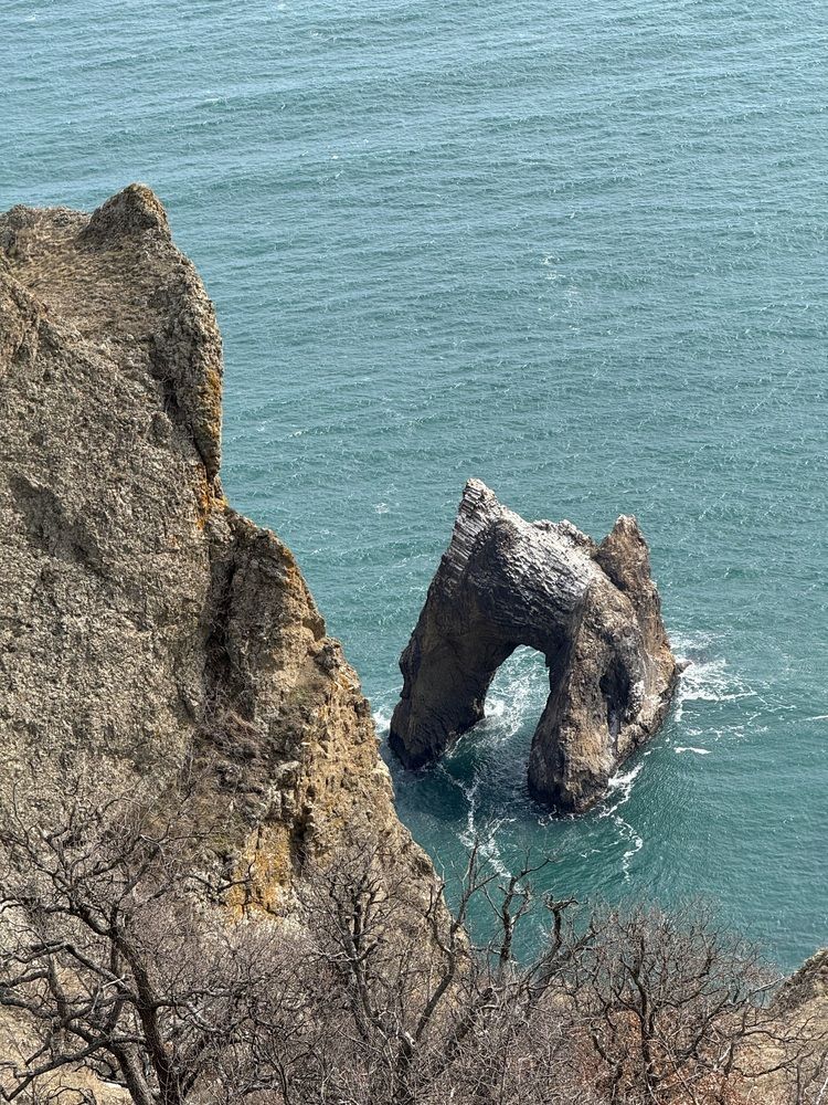 Photograph by Елена