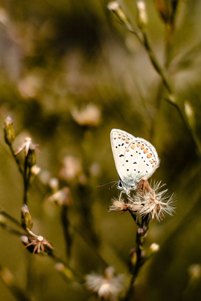 Photograph by Виктория Фирсова