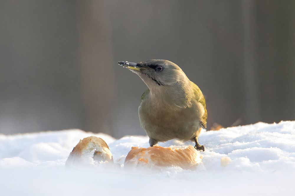 Photograph by Андрей Малинкин