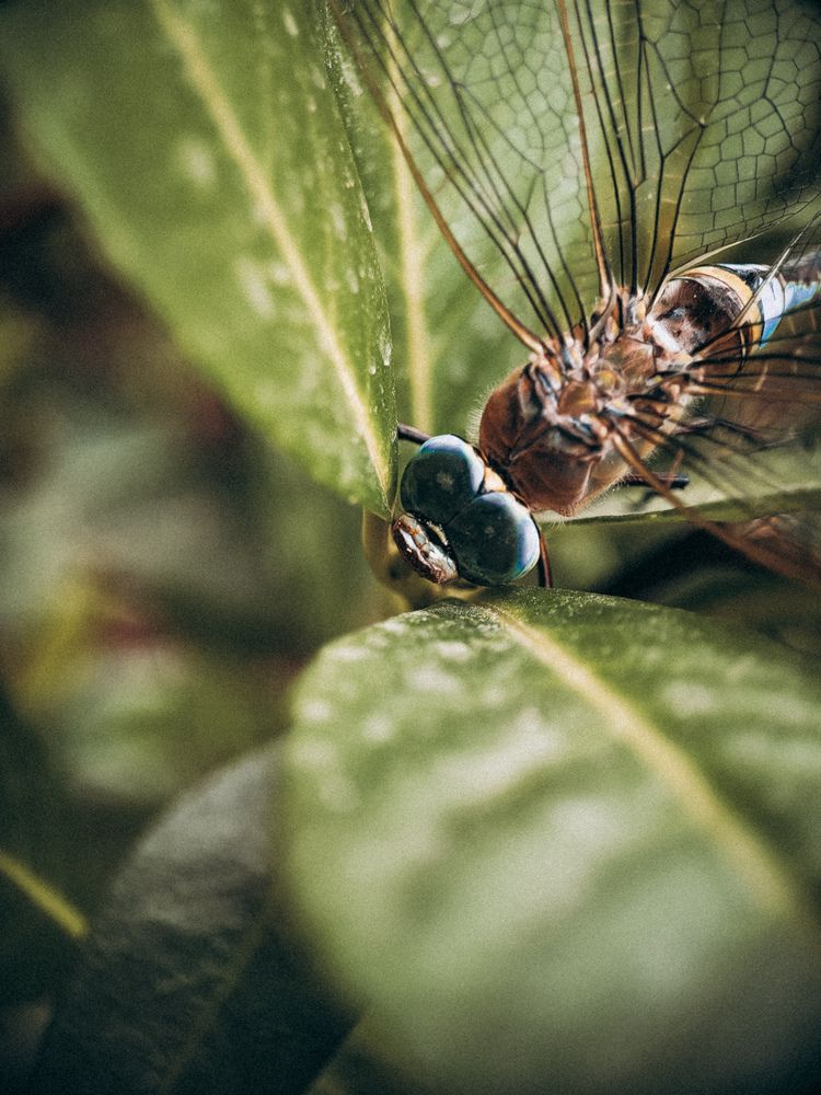 Photograph by Виктория Фирсова