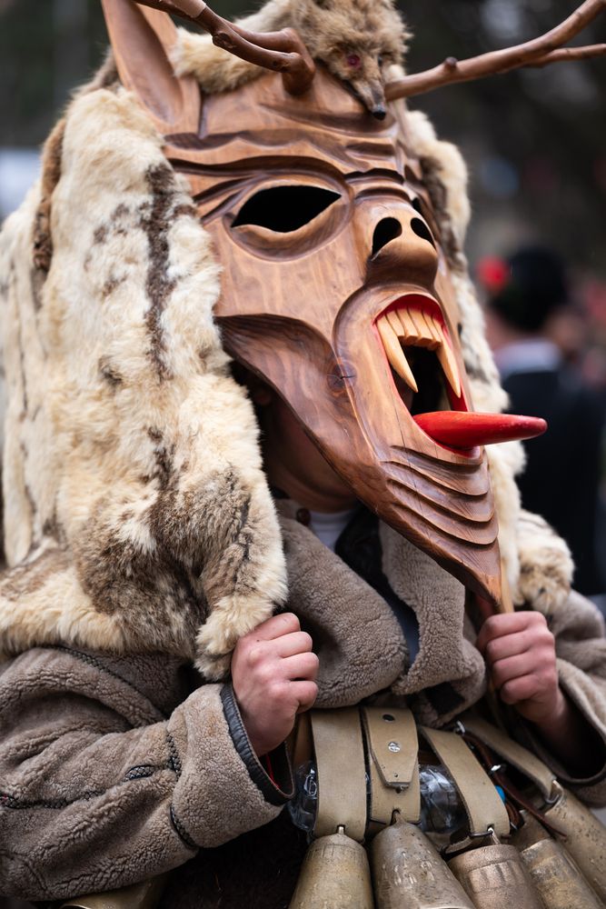 Фотография автора Lyuboslav Bochev